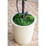 Декоративный искусственное растение Single boxwood варинант исполнения - 6 | Loft Concept в Сочи