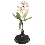 Статуэтка Wonderboom варинант исполнения - 2 | Loft Concept в Сочи