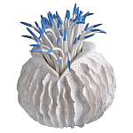 Статуэтка тропический фрукт Tropical Fruit White Blue варинант исполнения - 2 | Loft Concept в Сочи