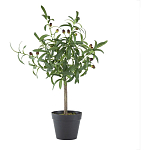 Декоративный искусственное растение Olive tree with fruits варинант исполнения - 1 | Loft Concept в Сочи