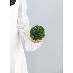 Декоративный искусственное растение Small boxwood варинант исполнения - 3 | Loft Concept в Сочи