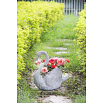 Кашпо The Proud Swan варинант исполнения - 6 | Loft Concept в Сочи