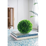 Декоративный искусственное растение Round boxwood варинант исполнения - 6 | Loft Concept в Сочи