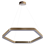 Люстра подвесная светодиодная в форме шестиугольника Диаметр 80 см Hexagon Horizontal варинант исполнения - 1 | Loft Concept в Сочи