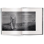 Книга Beusker. Look into my Eyes варинант исполнения - 1 | Loft Concept в Сочи