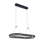 Люстра светодиодная в форме овала из акрила и алюминия с пультом для регулировки света Ring Horizontal Anthracite варинант исполнения - 2 | Loft Concept в Сочи