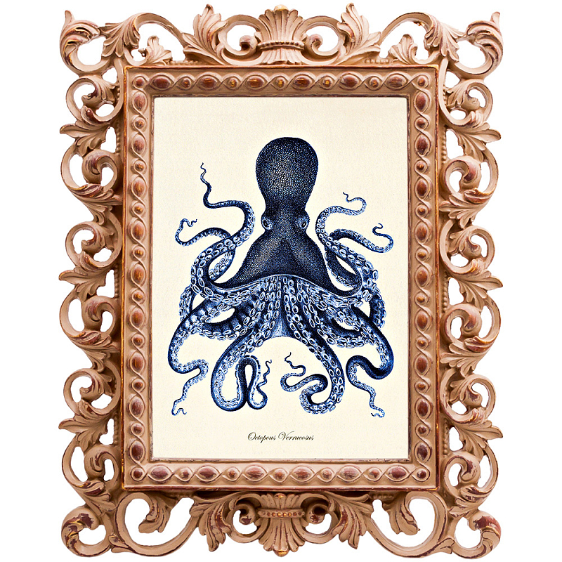 Постер Blue Octopus Poster Бежевый Морская синь в Сочи | Loft Concept 