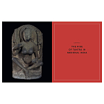 Книга Tantra: Enlightenment to Revolution варинант исполнения - 5 | Loft Concept в Сочи