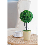 Декоративный искусственное растение Single boxwood варинант исполнения - 5 | Loft Concept в Сочи